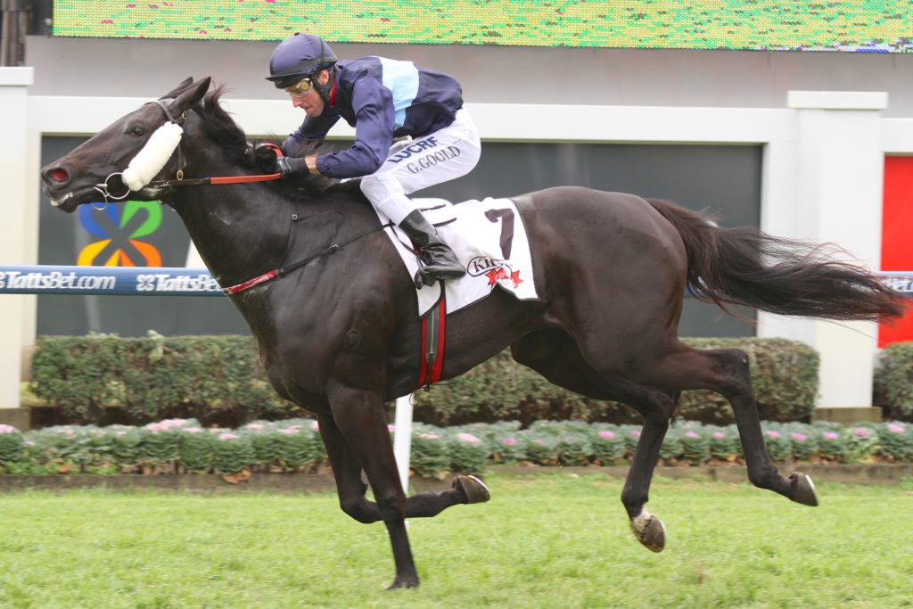 Doomben Race 1 Cliques - Geoff Goold | Just Horse Racing