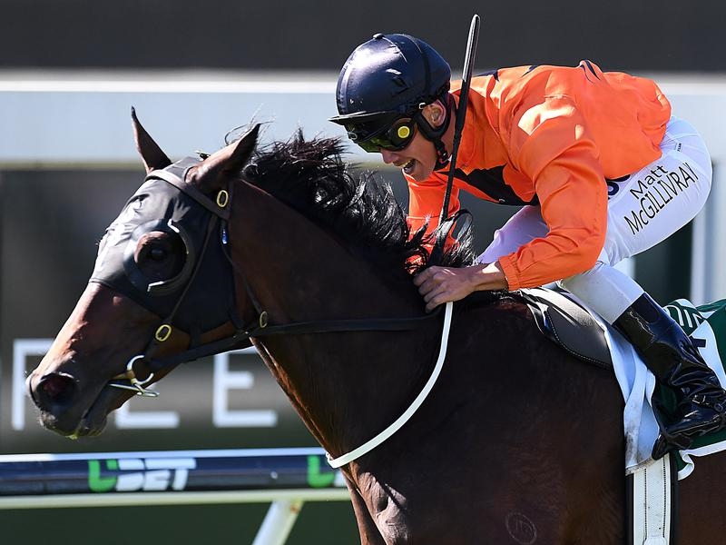 Doomben Cup Matt McGillivray | Just Horse Racing