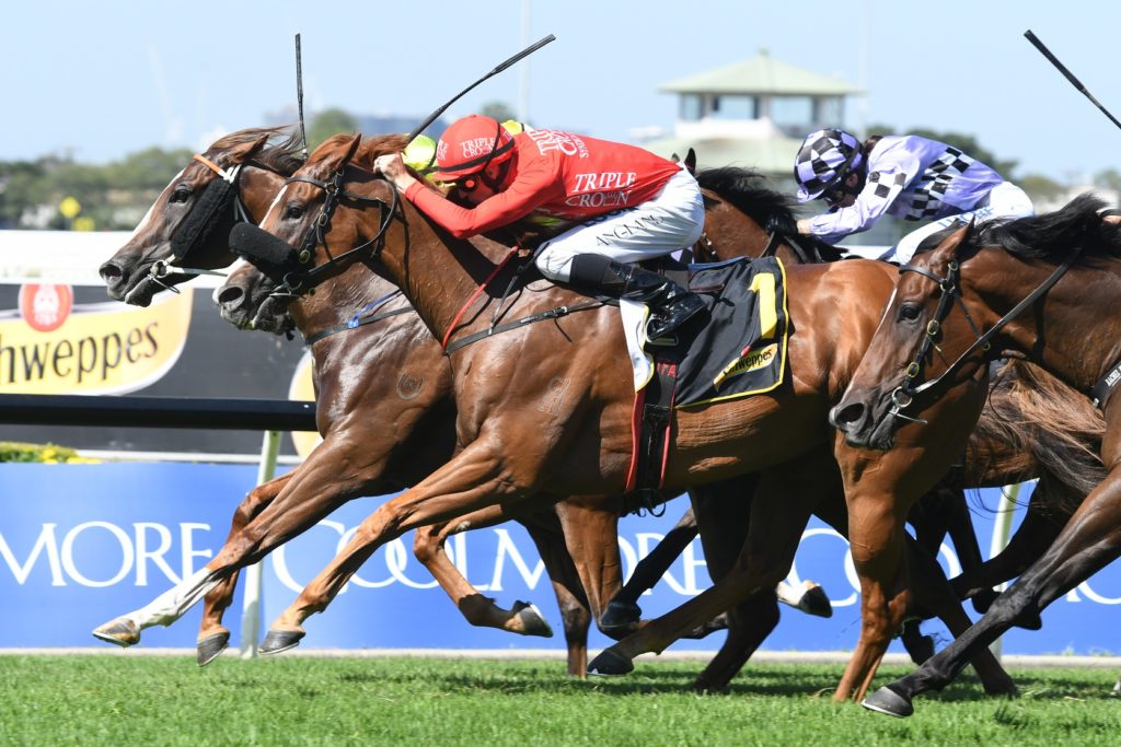 Dothraki 170318 2475 | Just Horse Racing