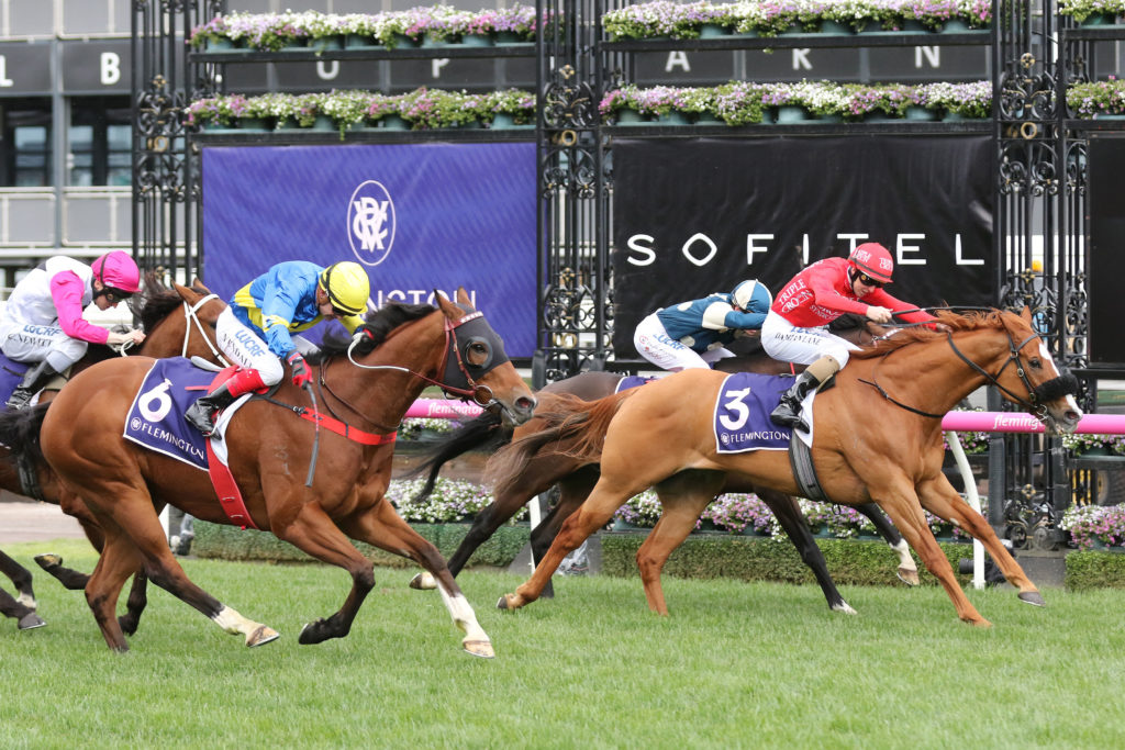 Dothraki_15-09-2018_WIN_Flemington_5__544 | Just Horse Racing