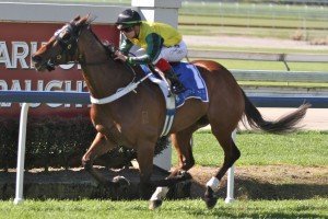 Double Impact - Anthony Allen | Just Horse Racing Double Impact, Anthony Allen - Photo by Daniel Costello
