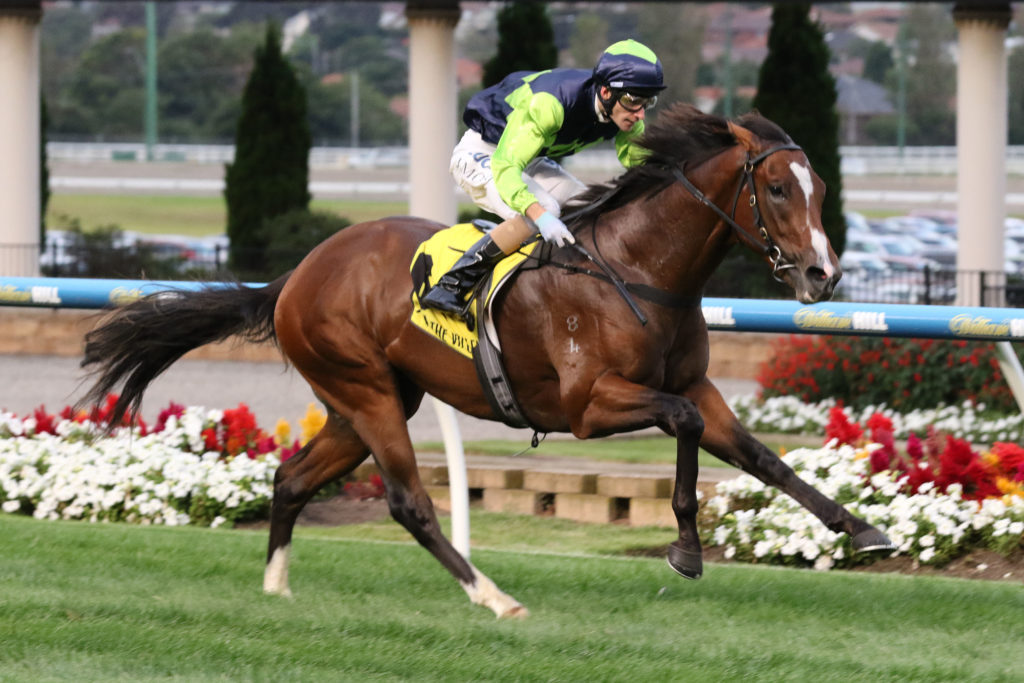 Doubt I'm Dreaming_24-03-2017_WIN_Moonee Valley_2__173 | Just Horse Racing