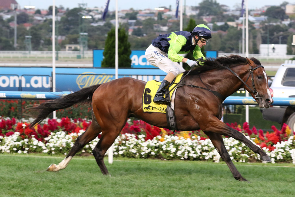 Doubt I'm Dreaming_24-03-2017_WIN_Moonee Valley_2__178 | Just Horse Racing