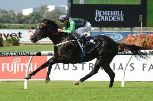 Drago 110513 5584 | Just Horse Racing Drago