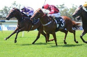 Driefontein maintained an unbeaten course towards the Golden Slipper