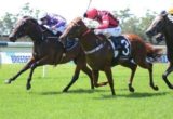 Driefontein maintained an unbeaten course towards the Golden Slipper