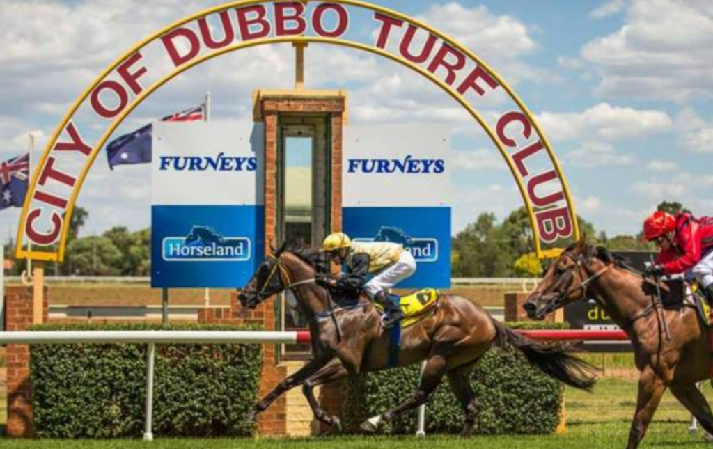 17/11/2019 Horse Racing Tips and Best Bets – Dubbo - Just Horse Racing