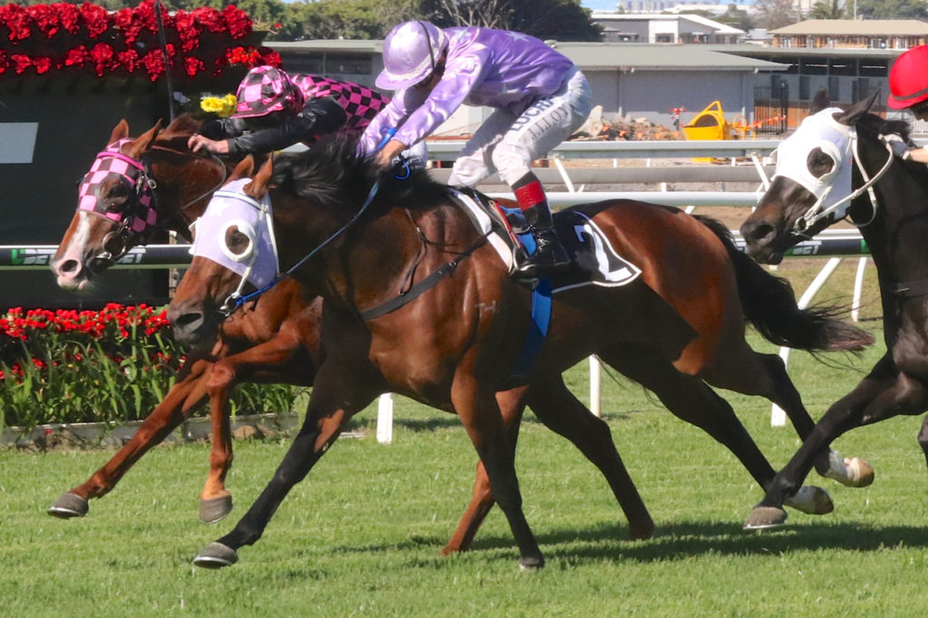 Eagle Farm 5 Balboa Rocks | Just Horse Racing