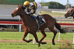Eagle Farm Race 4 Enquare - Justin Stanley | Just Horse Racing