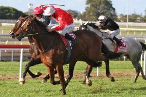 Rialya - Joe Bowditch | Just Horse Racing Rialya - Joe Bowditch