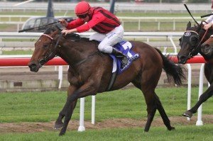 Eagle Farm Race 6 Romantic Touch - Nash Rawiller