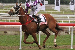 Eagle Farm Race 7 Hawkspur - Jim Cassidy | Just Horse Racing