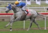 Linton, Nicholas Hall, Stradbroke Handicap