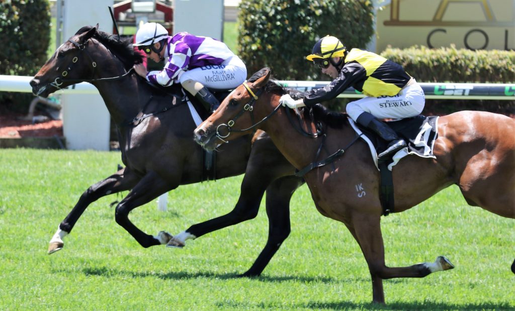 Ef Troop (1) | Just Horse Racing