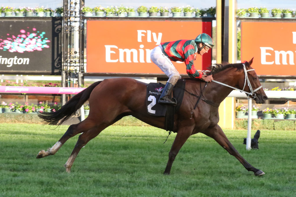 Egg Tart_25-04-2017_WIN_Flemington_7__1271 | Just Horse Racing