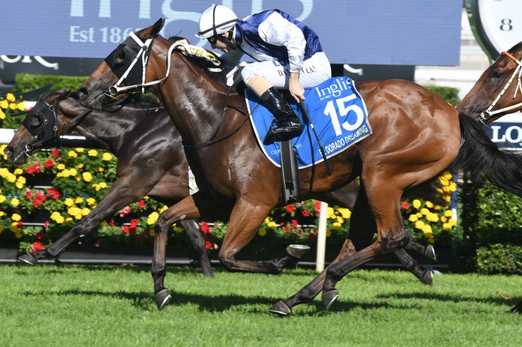 El Dorado Dreaming 070418 8538 | Just Horse Racing