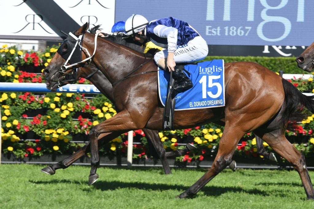 El Dorado Dreaming 070418 8539 | Just Horse Racing