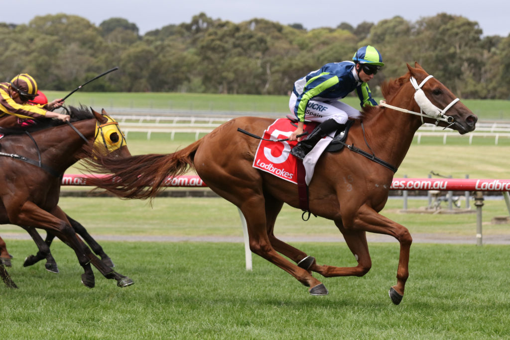 El Sicario_30-12-2017_WIN_Sandown_5__1032 | Just Horse Racing