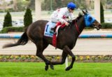 Elite Elle winning the Dr. Sheahan Plate at Moonee Valley - photo by Race Horse Photos Australia
