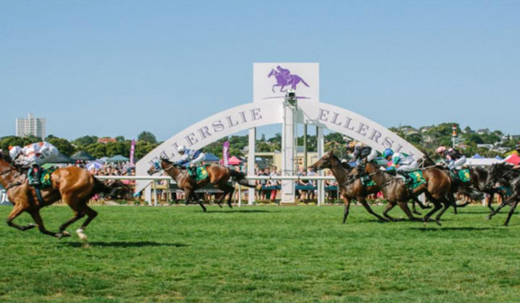 30/11/2024 Horse Racing Tips and Best Bets – Ellerslie