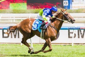 Eloping winning the Blue Diamond Preview (Fillies) at Moonee Valley ridden by Stephen Baster and trained by Peter Morgan & Craig Widdison - (photo by Steven Dowden/Race Horse Photos Australia)