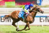 Eloping winning the Blue Diamond Preview (Fillies) at Moonee Valley ridden by Stephen Baster and trained by Peter Morgan & Craig Widdison - (photo by Steven Dowden/Race Horse Photos Australia)