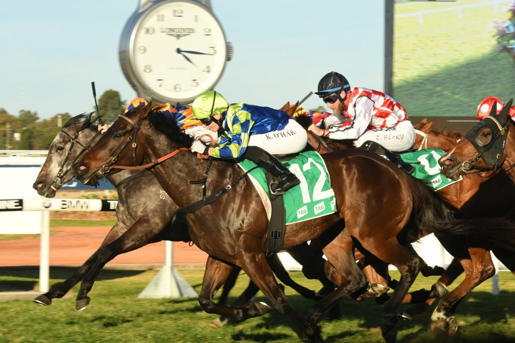Elouera 120817 5831 | Just Horse Racing