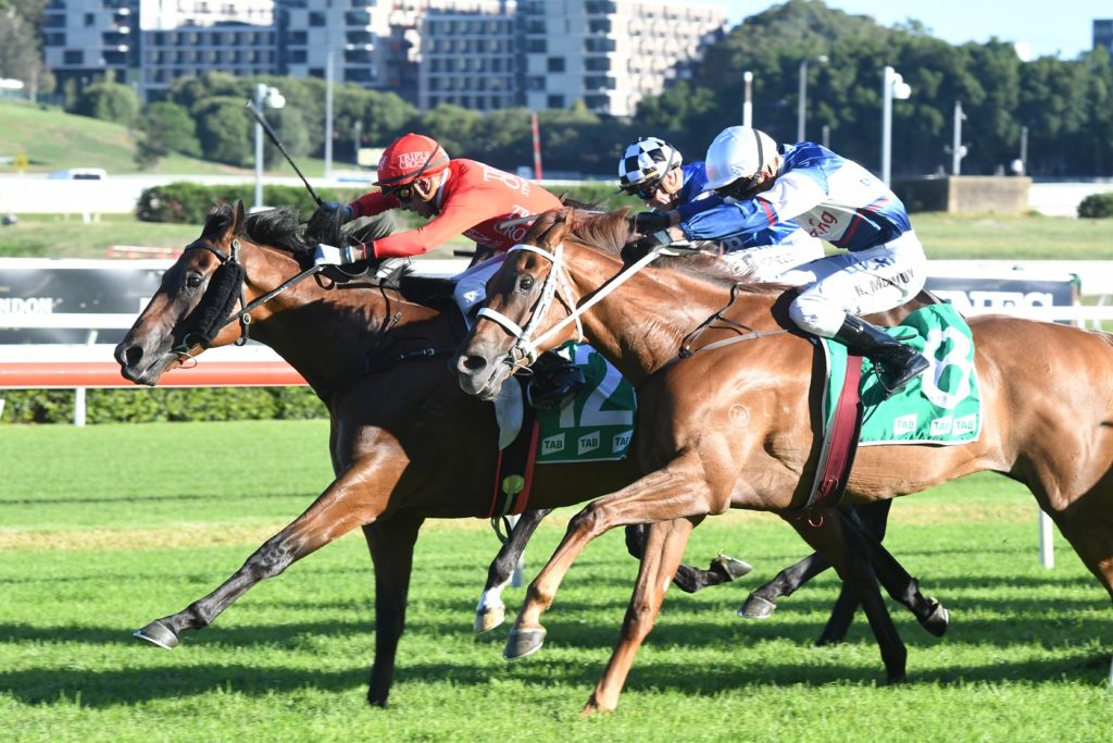 Emperor's Way 100318 1087 | Just Horse Racing