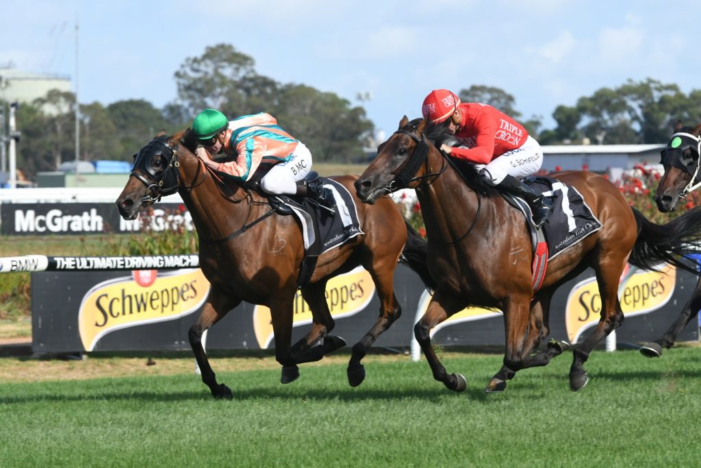 Emperor's Way 270118 1458 | Just Horse Racing