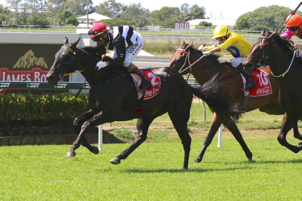 Emphasis | Just Horse Racing