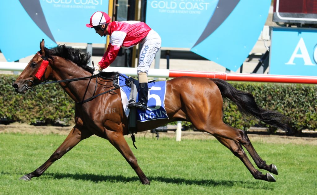 Endless Days (2) | Just Horse Racing