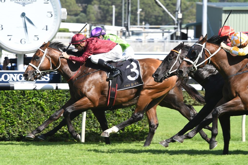 Endless Drama 170218 5468 | Just Horse Racing