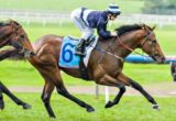 Escamillo winning the Samson Handicap at Sandown ridden by Jackie Beriman and trained by Michael Kent - (photo by Steven Dowden/Race Horse Photos Australia)