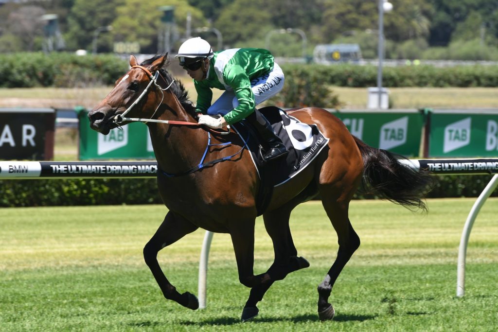 Estijaab 200118 9596 | Just Horse Racing
