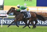 Estijaab - Golden Slipper