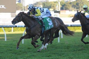 Eurozone 100813 7730 | Just Horse Racing