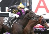 Excess Knowledge, Lexus Stakes