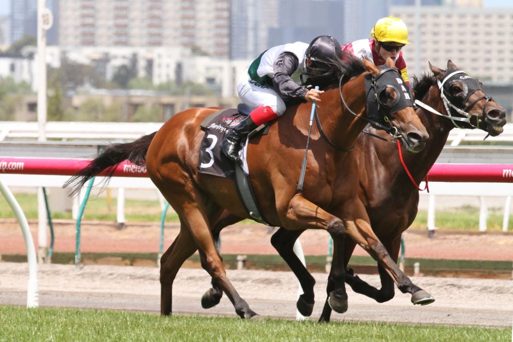Extra Zero_01-01-2015_WIN_Flemington_3__506 | Just Horse Racing