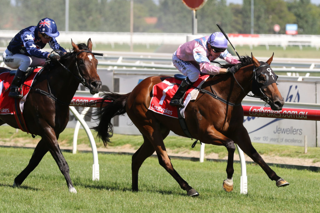 Farson_26-01-2017_WIN_Caulfield_6__1324 | Just Horse Racing