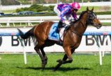 Fast 'n' Rocking winning the H.D.F. McNeil Stakes at Caulfield - photo by Race Horse Photos Australia