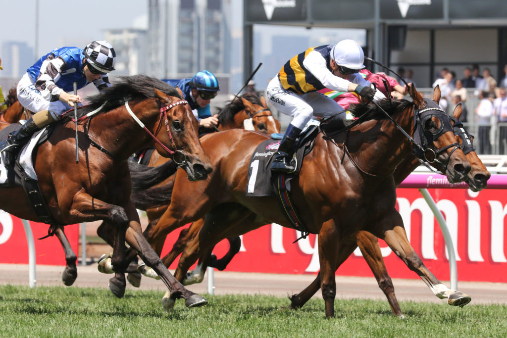 Fastnet Tempest_11-11-2017_WIN_Flemington_3__737 | Just Horse Racing