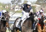 Caulfield Cup 2014