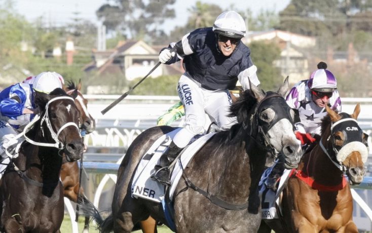 Caulfield Cup 2014
