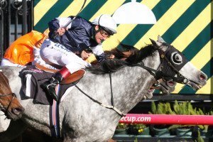 Fawkner