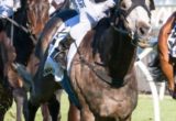 Fawkner winning the Caulfield Cup at Caulfield - photo by Race Horse Photos Australia