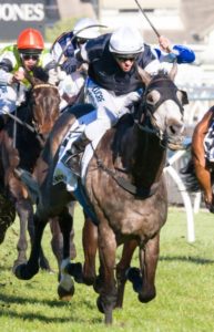 Caulfield Raceday | Just Horse Racing Fawkner winning the Caulfield Cup at Caulfield - photo by Race Horse Photos Australia