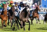 Fawkner winning the Caulfield Cup at Caulfield - photo by Race Horse Photos Australia