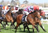 Fell Swoop