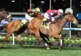 Fenway - Stocks Stakes 2015