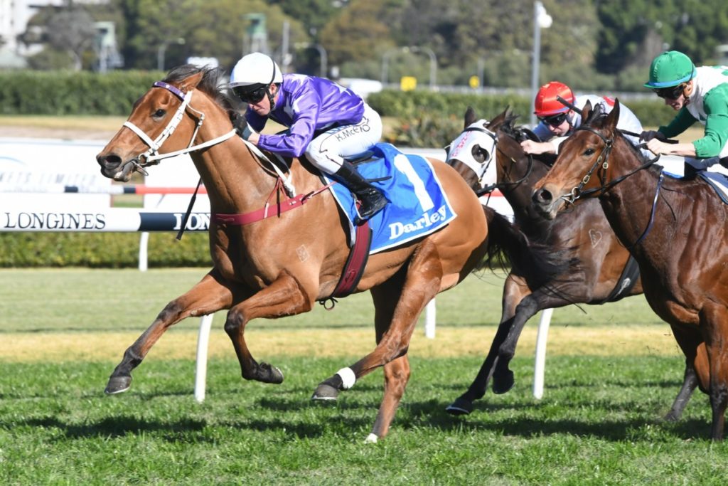 Fiesta 180818 5622 | Just Horse Racing